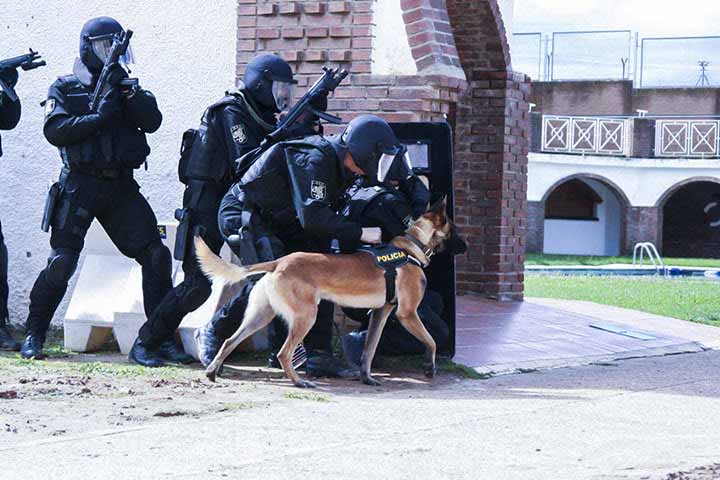 Emblema Policía Nacional