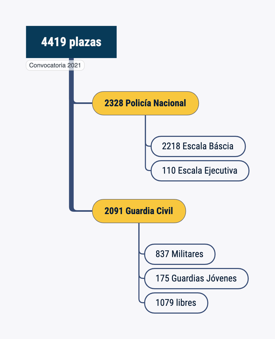 Convocatoria de plazas para Policía Nacional y Guardia Civil 2021. Fuerzas y Cuerpos de Seguridad del Estado